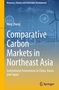 „Comparative Carbon Markets in Northeast Asia“ von Ning Zhang. Windturbinen und Technologie-Icons im Hintergrund., Buch