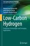 Buchtitel: "Low-Carbon Hydrogen". Autoren: Mohammad Yaseen Mir, Javid Ahmad Parray, Sumanta Bhattacharya., Buch