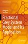 "Fractional Grey System Model and Its Application." Autoren: Lifeng Wu, Yan Chen. Hintergrund: Orange geometrische Muster., Buch