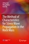 Text: "The Method of Characteristics for Stress Wave Propagation in the Rock Mass." Autoren: Lifeng Fan, Meng Wang, Xiuli Du. Bunte abstrakte Hintergrundfarben., Buch
