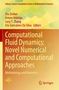 Computational Fluid Dynamics: Novel Numerical and Computational Approaches. Gelb-grün-oranger Hintergrund, Springer-Logo., Buch