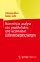Titel: "Numerische Analyse von gewöhnlichen und retardierten Differentialgleichungen." Farben: Rot, Gelb.