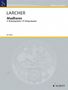 Thomas Larcher: Madhares (2006 (2007)), Noten