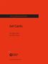 Jörg Birkenkötter (geb. 1963): bel Canto Oboe solo (2013/14), Noten
