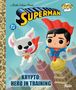Golden Books: Krypto: Hero in Training (Superman Funko Pop!), Buch