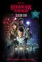 Matthew J Gilbert: Stranger Things, Season One: The Junior Novelization, Buch