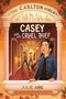Titel: "Casey and the Cruel Thief". Oben ein Stadtbild mit Skyline. Darunter Personen in einem Flur. Autorin: Julie Abe.