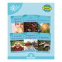 Phonic Books: Phonic Books Dandelion Mundo Spanish Decodables Set 2, Buch