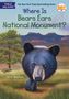„Where Is Bears Ears National Monument?“ Illustration eines Bären vor einem Baum und felsiger Berglandschaft.