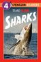 Sarah Jospitre: Time for Kids: Sharks, Buch