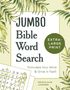 David Lavender: Jumbo Bible Word Search, Buch
