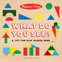 Text "What Do You See? A Lift-the-Flap Blocks Book". Bunte geometrische Formen auf hellem Hintergrund.