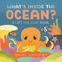 Rachel Ignotofsky: What's Inside the Ocean?, Buch