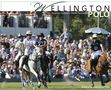 "Wellington Polo", "From Swampy Ground to World Renowned". Polo-Spieler auf Pferden, Zuschauer im Hintergrund.