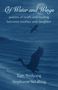 Buchtitel: "Of Water and Wings", Gedichte zwischen Mutter und Tochter. Silhouette von Vögeln über Wasser bei Mondlicht., Buch