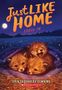 Texte: "Just Like Home", "Foxed In", "Erin Soderberg Downing". Drei Fuchskinder liegen unter einem Nachthimmel auf einer Decke., Buch
