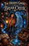 "The Hidden Ghost of Briar Creek" steht in großen Buchstaben. Davor ein Mädchen mit Laterne und ein blauer Geisterjunge., Buch