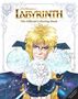 „Jim Henson's Labyrinth: The Official Coloring Book“ steht oben. Ein mystischer Charakter hält leuchtende Kugeln.