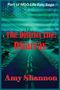 Titel: "The District Life: Disarray". Name: Amy Shannon. Grüner Himmel, Straße in Wüste, Stadt in Ferne., Buch