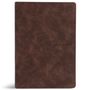 Text: "HOLY BIBLE". Dunkelbrauner Ledereinband mit dezenter Maserung., Buch