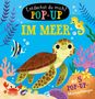 "Entdeckst du mich? Pop-Up im Meer. Mit 5 Pop-Up-Überraschungen." Eine fröhliche Meeresschildkröte und bunte Meerestiere., Buch