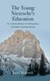 Jozef Majerník: The Young Nietzsche's Education, Buch