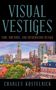 „Visual Vestiges: Time, Rhetoric, and Information Design“ von Charles Kostelnick. Stadtansicht mit historischen Gebäuden., Buch