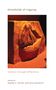 Text: "thresholds of irigaray," "relation through difference," "edited by wesley n. barker and jena jolissaint." Eine Skulptur in warmen Tönen., Buch