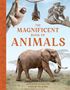 Tom Jackson: The Magnificent Book of Animals, Buch