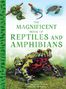 Tom Jackson: The Magnificent Book of Reptiles and Amphibians, Buch