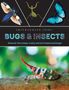 Smithsonian: Smithsonian Explores: Bugs and Insects, Buch