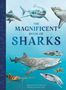 Titel: "The Magnificent Book of Sharks". Mehrere Haie schwimmen im Meer.