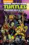 Landry Q Walker: Teenage Mutant Ninja Turtles: Amazing Adventures Omnibus, Buch
