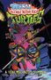 Oben steht: "Tales of the Teenage Mutant Ninja Turtles". Unten: "A Very Mechazoid Summer". Comic-Stil, Schildkröten in Action., Buch