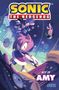 Ian Flynn: Sonic the Hedgehog: Best of Amy, Buch