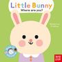 Baby Faces: Little Bunny, Where Are You?, Buch