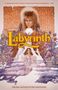 Sid Jacobson: Jim Henson's Labyrinth Original Motion Picture Adaptation, Buch, Buch