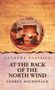 George Macdonald: At the Back of the North Wind, Buch