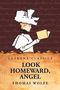 Thomas Wolfe: Look Homeward, Angel, Buch, Buch