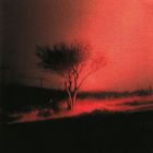 Es gibt keinen sichtbaren Text. Eine düstere, rot-schwarz getönte Illustration eines einsamen Baumes in einer kargen Landschaft.