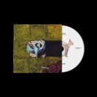 CD mit Katze, Code 19870493890. Cover: Buntes abstraktes Gemälde mit grünen Feldern, blauem Element.