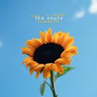 Text: "Joy in Sharing", "The Snuts", "Moments". Sonnenblume vor klarem, blauem Himmel.