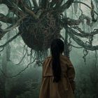 Eine Person steht vor einer riesigen, baumartigen Kreatur in einem nebligen Wald.