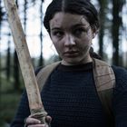 Keine erkennbaren Texte. Eine Person im Wald mit einem Holzstock. Sie trägt einen Rucksack und schaut konzentriert.