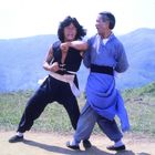 Zwei Männer trainieren Kampftechniken auf einer Wiese vor einer Bergkulisse. Einer trägt Schwarz, der andere Blau.