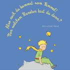 "Also auch du kommst vom Himmel! Von welchem Planeten bist du denn?" Illustration: Der kleine Prinz sitzt auf einem Felsen.