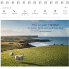 „Möge ein guter Freund an deiner Seite sein ein Leben lang. Irischer Segenswunsch.“ Landschaft mit Schafen und Küste.