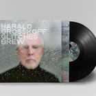 HARALD GROSSKOPF GLITCHES BREW. Ein unscharfes Porträt eines Mannes hinter regennassem Glas, daneben eine schwarze Schallplatte.