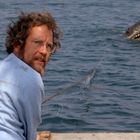Ein Mann in einem blauen Hemd schaut auf dem Meer angsterfüllt nach hinten, wo ein Hai schwimmt.