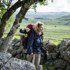 Eine Person mit Wanderrucksack und Wanderstöcken steht zwischen Bäumen, umgeben von grünen Feldern und Hügeln.
